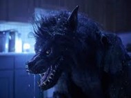 Review Werewolves, Teror Siluman Serigala Tiap Bulan Purnama