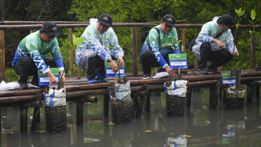 BPKH Tanam Mangrove Di Pesisir Jakarta