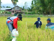 Sertifikasi Mahal dan Rumit Dinilai Hambat Perkembangan Pertanian Organik RI