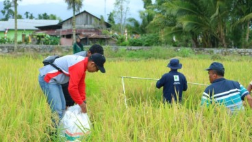 Sertifikasi Mahal dan Rumit Dinilai Hambat Perkembangan Pertanian Organik RI