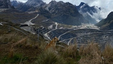 Mengintip Progres Reklamasi Terkini Kawasan Tambang Grasberg Freeport