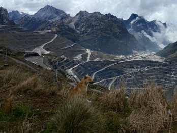 Mengintip Progres Reklamasi Terkini Kawasan Tambang Grasberg Freeport