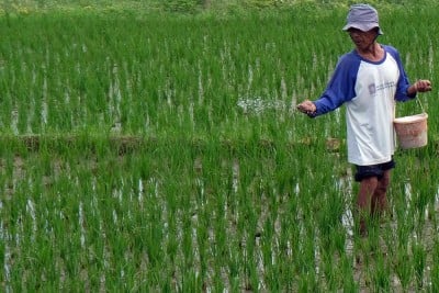 Serapan pupuk bersubsidi di Jawa Tengah Telah Mencapai 60,23%