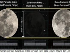 FAKTA UNIK: Australia Lebih Besar Ukurannya Dibandingkan Bulan