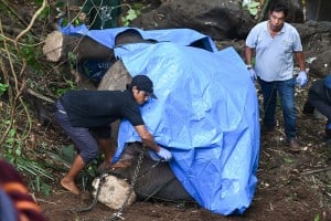 Evakuasi Gajah Mati Terseret Arus Sungai