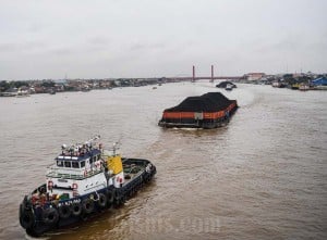 Produksi Batu Bara di Sumsel Belum Capai Target