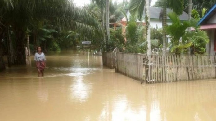 Cuaca Buruk dan Banjir Ancam Ketahanan Pangan RI, Pemerintah Diminta Siaga