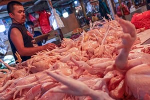 Kenaikan Harga Komoditas Pangan Jelang Natal dan Tahun Baru