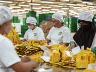 Deltomed Merger dengan Marguna, Perkuat Bisnis Obat Herbal