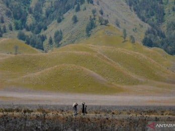 Rekomendasi Rute Menuju Gunung Bromo saat Nataru