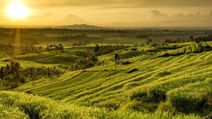 Aktivitas Luar Ruang jadi Tren yang Diminati Wisatawan Tahun Depan