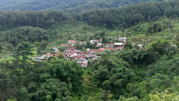 Daerah Rawan Longsor Di Kabupaten Bogor