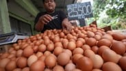 Harga Pangan Hari Ini 24 Desember: Bawang, Telur, Cabai Naik