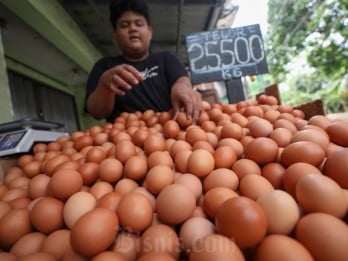 Harga Pangan Hari Ini 24 Desember: Bawang, Telur, Cabai Naik