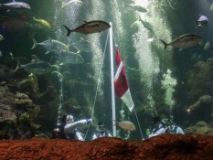 Siasat Jaya Ancol (PJAA) Dongkrak Kinerja Akhir Tahun