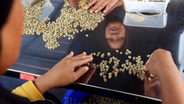 Mitos atau Fakta? Minum Teh atau Kopi dapat Kurangi Risiko Kanker Tenggorokan