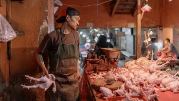 Prospek Emiten Unggas Charoen Pokphand (CPIN) dan Japfa (JPFA) Masuki 2025