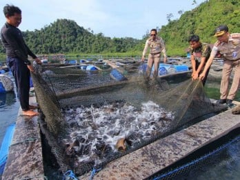 Sumedang Miliki Sentra Ikan di Jatigede, Bisa Jadi Destinasi Wisata Kuliner