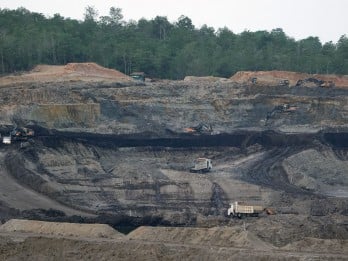 Keseriusan Emiten Prajogo Pangestu Petrindo Jaya (CUAN) Garap Segmen Batu Bara Metalurgi