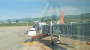 Dampak Kecelakaan Jeju Air Terhadap Premi Asuransi Penerbangan