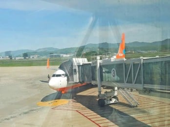 Dampak Kecelakaan Jeju Air Terhadap Premi Asuransi Penerbangan