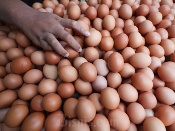 Duh! Harga Telur Ayam Naik Gila-gilaan di Pengujung 2024