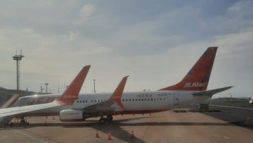 Pesawat Jeju Air Hampir Kecelakaan Lagi Usai Tragedi Maut di Muan