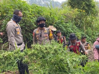 Cuaca Ekstrem, Pendakian Semeru Kembali Ditutup