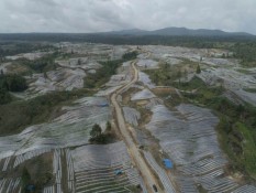 Menteri Nusron Tegaskan Food Estate di Kalimantan Tak Dipindah ke Merauke