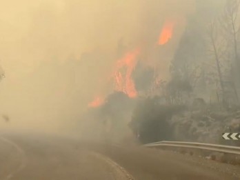 Kantor Lurah Rawa Badak Utara dan Tiga Rumah Terbakar Akibat Petasan