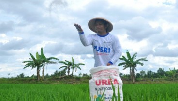 Pupuk Indonesia Salurkan 7,31 Juta Ton Pupuk Subsidi per Desember 2024