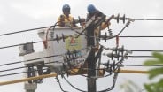 Cek! Daftar Lengkap Tarif Listrik PLN Januari-Maret 2025