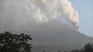 Jumlah Penumpang Pesawat Turun November 2024, BPS: Imbas Erupsi Gunung Lewotobi