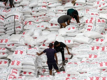 Sinyal Getir Pasokan dan Harga Gula Dunia di Awal 2025