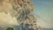 Gunung Semeru Erupsi Sabtu Malam, Letusan Capai 700 Meter