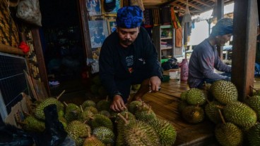 Durian Khas Badui Jadi Pemikat Pelancong