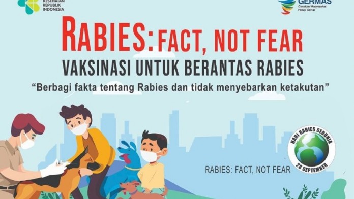 Tujuh Orang di Bali Meninggal Akibat Rabies