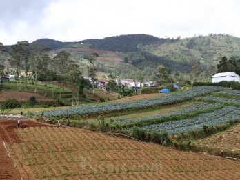 5.000 Hektare Lahan Tidur di NTB Diklaim Siap Digarap