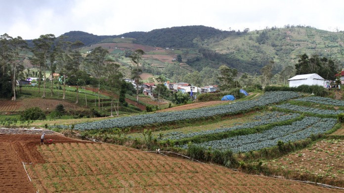 5.000 Hektare Lahan Tidur di NTB Diklaim Siap Digarap