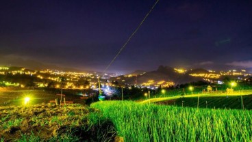 Elektrifikasi Pertanian di Sulselrabar pada 2024, PLN Salurkan 191.618 kVA