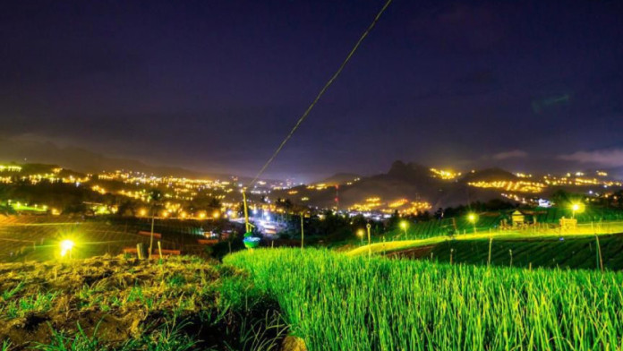 Elektrifikasi Pertanian di Sulselrabar pada 2024, PLN Salurkan 191.618 kVA