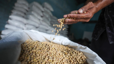 Harga Kedelai Biji Kering Impor di Tingkat Pedagang Grosir Naik