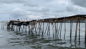 Begini Penampakan Pagar Laut Misterius 30,16 Km di Tangerang