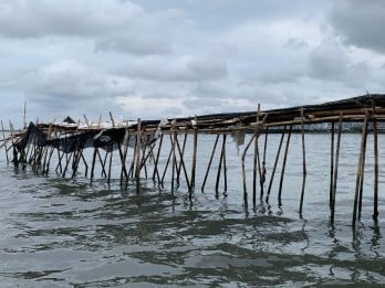 Begini Penampakan Pagar Laut Misterius 30,16 Km di Tangerang