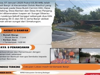 677 Bencana Terjadi di Sumut Sepanjang 2024, Karhutla Mendominasi