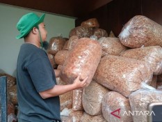 Cabai Kering Jadi Alternatif Saat Harga Mahal