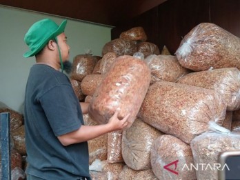 Cabai Kering Jadi Alternatif Saat Harga Mahal