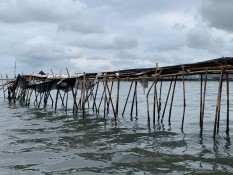 Pagar Laut Sepanjang 30 Km di Tangerang Diklaim untuk Cegah Abrasi