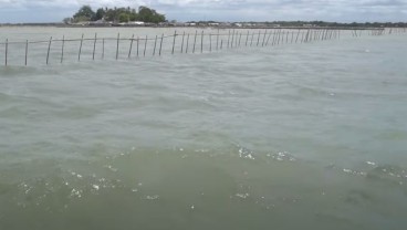 Said Didu Duga ada PIK 2 dan Pejabat Desa di Balik Pagar Laut Misterius Banten