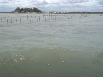 Said Didu Duga ada PIK 2 dan Pejabat Desa di Balik Pagar Laut Misterius Banten